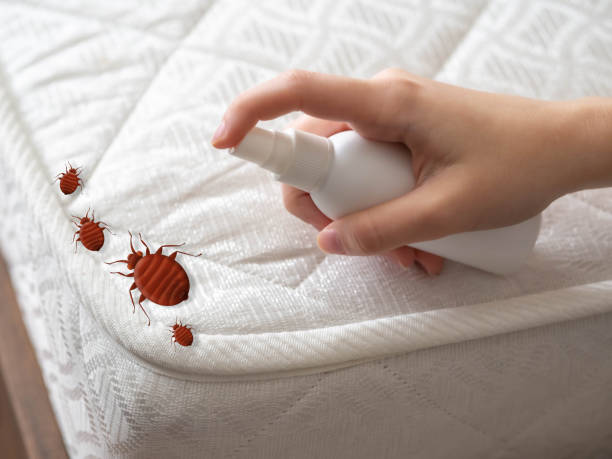 Best Termite Control Services  in Gardiner, ME