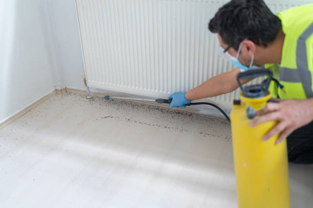 Best Ant Control Services  in Gardiner, ME